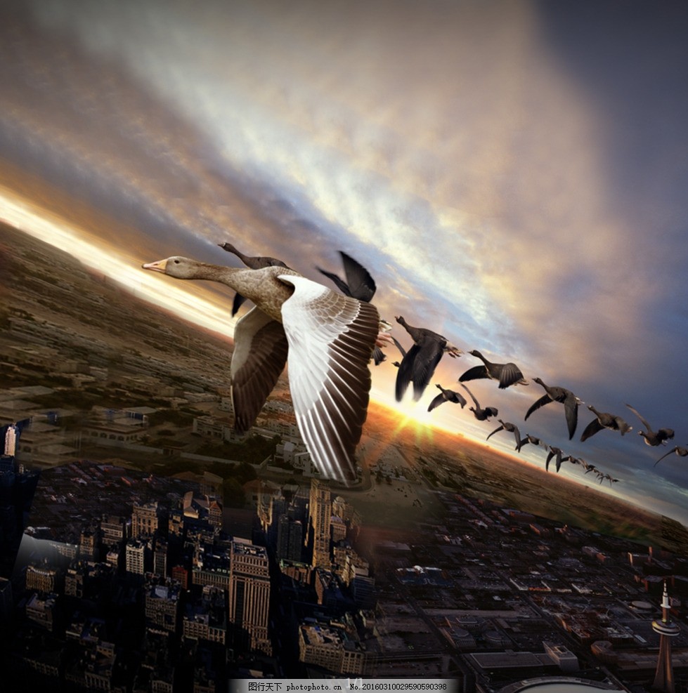 领航未来，共创辉煌